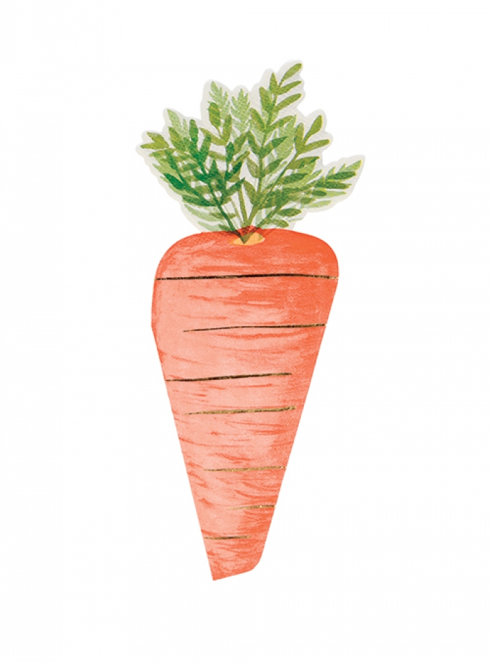 Χαρτοπετσέτα Carrot (16τμχ)