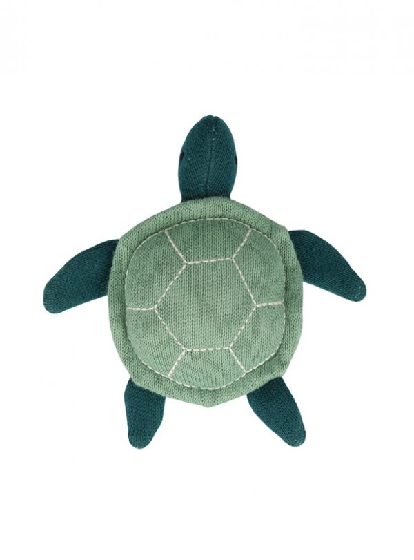 Sea-Turtle-.jpg