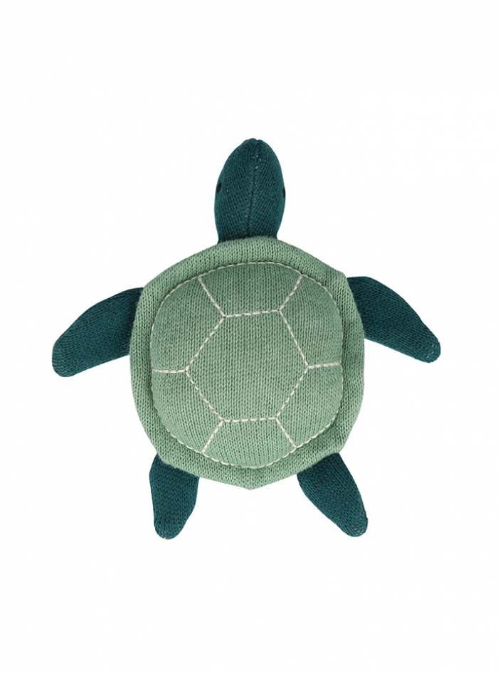 Sea-Turtle-.jpg