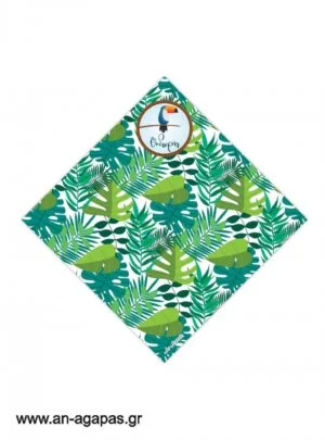 Χωνάκια  Tropical  Jungle   