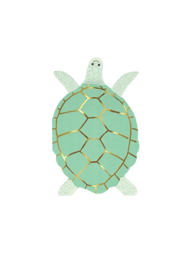 Turtle-16τμχ.jpg