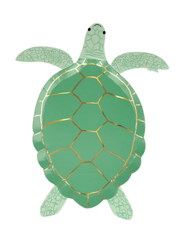Turtle-8τμχ.jpg