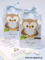 Μπομπονιέρα  Βάπτισης  3D  Βαλιτσάκι  Little  Owl  Blue