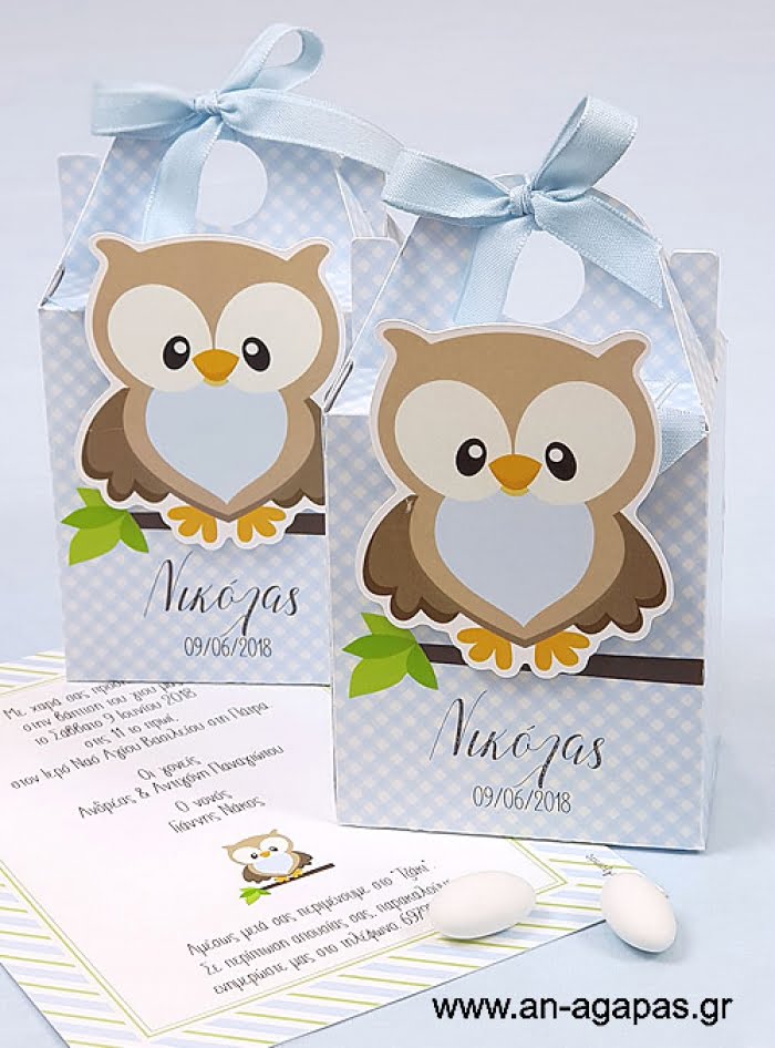 Μπομπονιέρα  Βάπτισης  3D  Βαλιτσάκι  Little  Owl  Blue