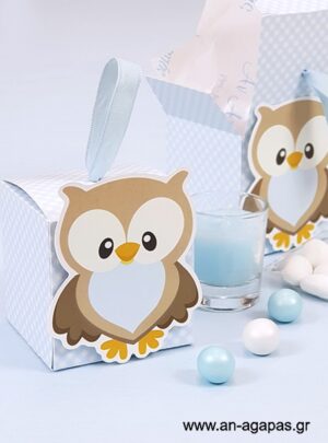 Μπομπονιέρα  Βάπτισης  3D  Κουτί  Little  Owl  Blue