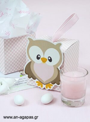Μπομπονιέρα  Βάπτισης  3D  Κουτί  Little  Owl  Pink