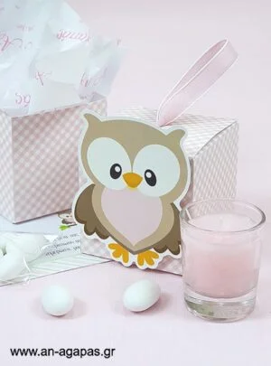 Μπομπονιέρα  Βάπτισης  3D  Κουτί  Little  Owl  Pink