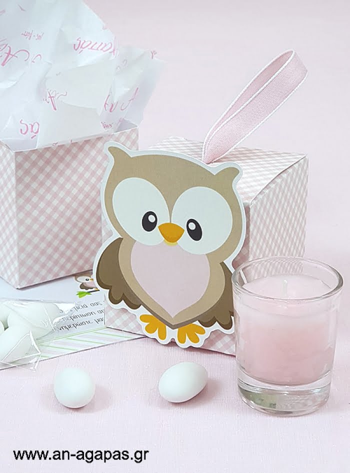 Μπομπονιέρα  Βάπτισης  3D  Κουτί  Little  Owl  Pink