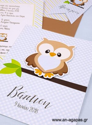 Προσκλητήριο  Βάπτισης  Little  Owl  Blue  3D