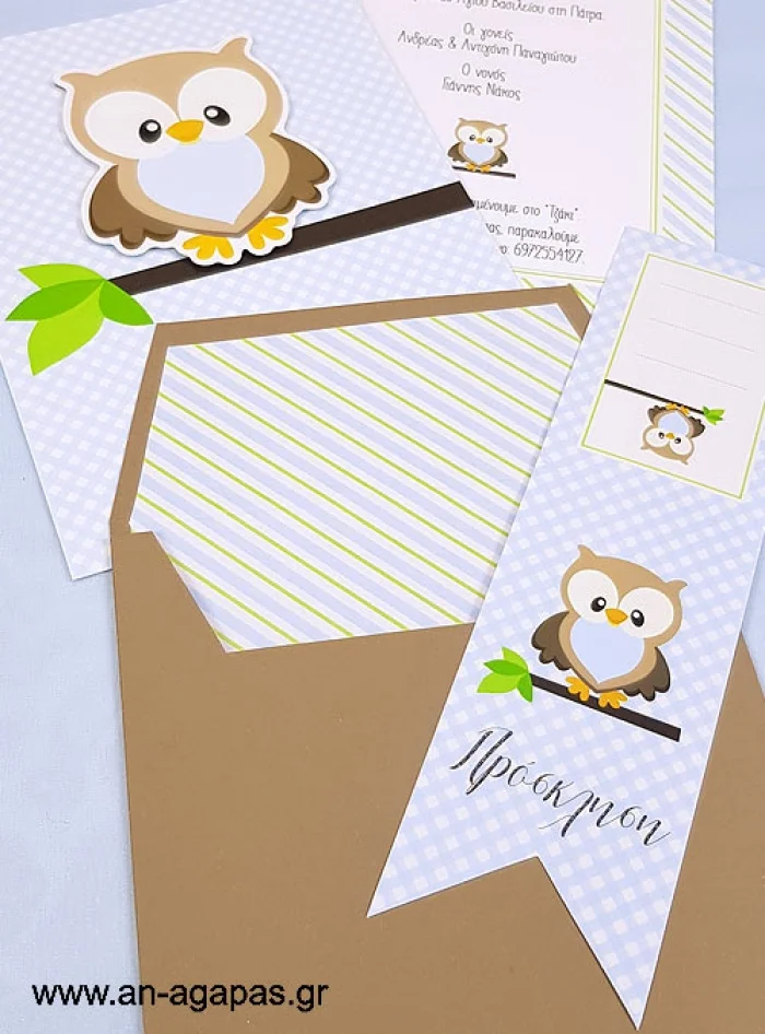 Προσκλητήριο  Βάπτισης  Little  Owl  Blue  3D