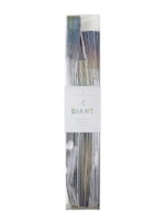Διακοσμητικές  Βεντάλιες  Giant  Holographic  Silver  –  EOL
