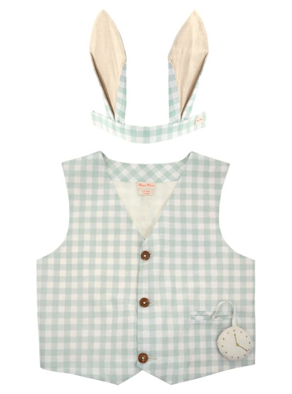 Μεταμφίεσης-Gingham-Bunny.jpg