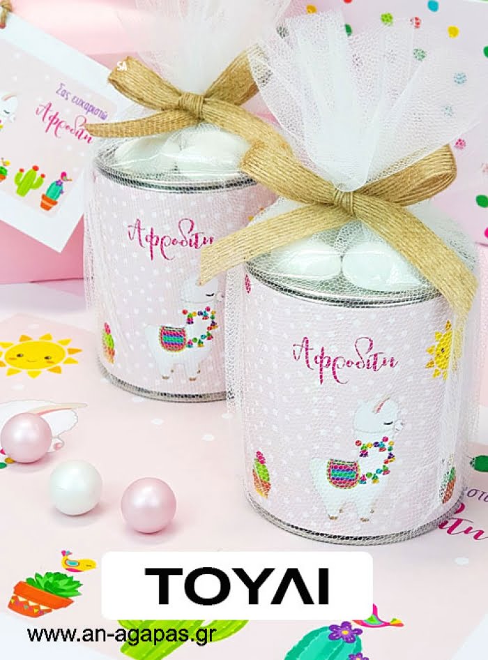 Μπομπό βάπ Κουμπαράς Pink Vintage Roses