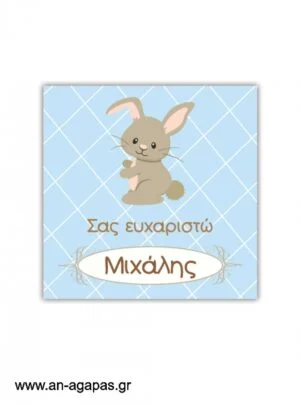 Ευχαριστήριο  καρτελάκι  Funny  Bunny  Boy 