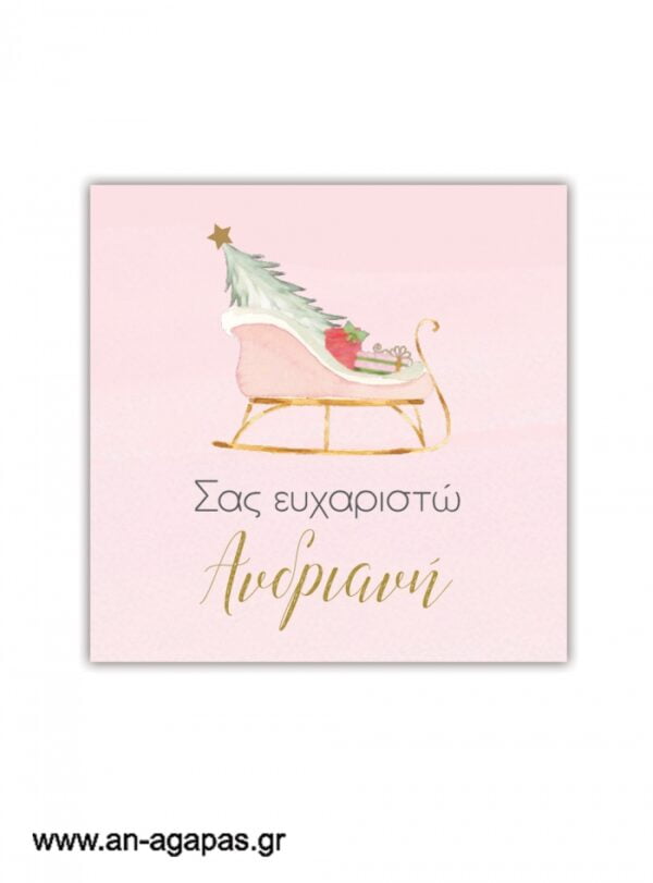 Ευχαριστήριο καρτελάκι Pink Sleight Christmas