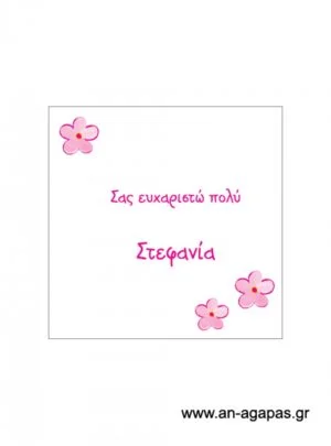 Ευχαριστήριο  καρτελάκι  κορίτσι  πεταλούδα 