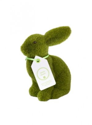 Λαγουδάκι  μικρό  Grass  Bunny
