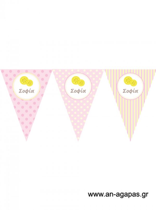 Χάρτινα σημαιάκια Banner Pink Lemonade