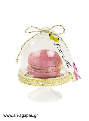 Truly Alice Curious Cake Domes
