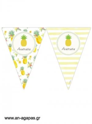 Banner-Σημαιάκια  Ανανάς 