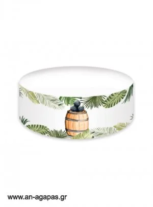 Cake  banner  Jungle  Pirates 