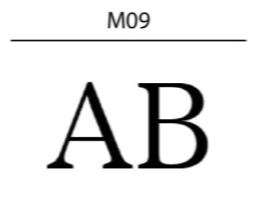 M09