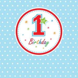1st Birthday Boy