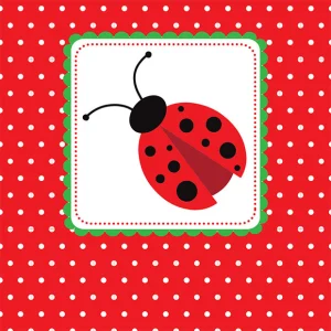 Ladybug