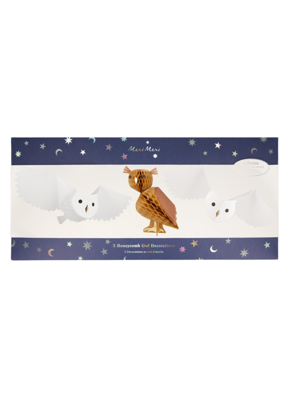 Διακοσμητική Honeycomb Owls (3τμχ)
